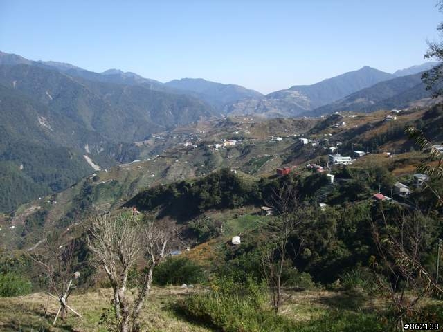 【11/19~21】一豎全制霸~從阿里山到太平山(圖爆多)