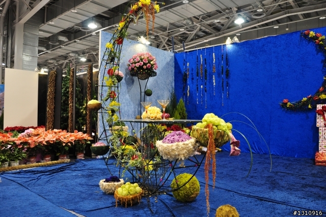 2010臺北國際花卉博覽會 D90超新手..圖多請慢慢看.花博蓋樓囉