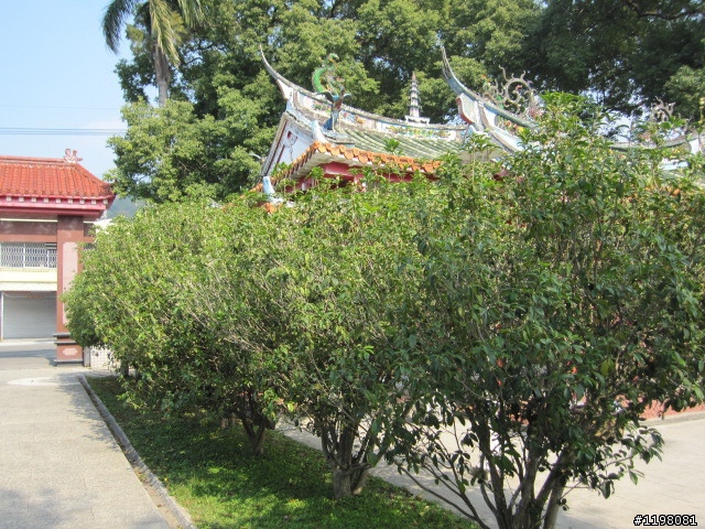 踏雪尋梅