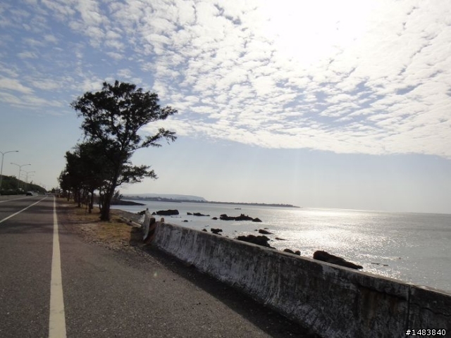 <我的瘋日記-8>滿腔的痛與感動-12/11-12瘋600 K-朝夢想前進的旅程