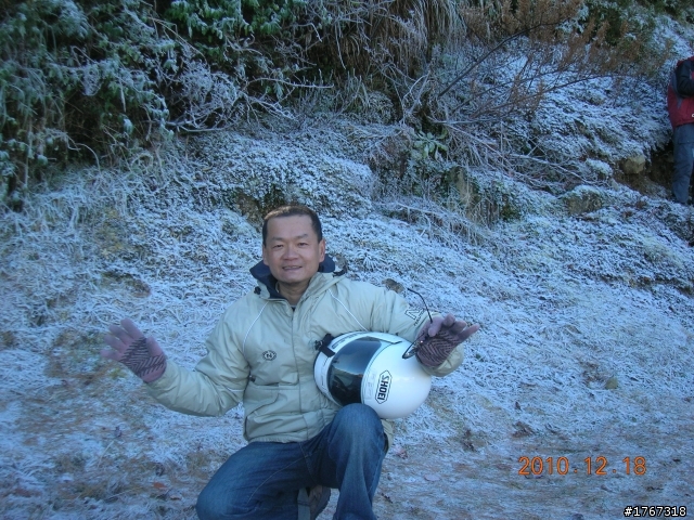 踏雪尋梅~之東埔泡湯行(12/19新增烏松崙梅景!)