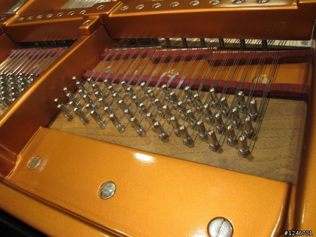 Bosendorfer 280(貝森朵夫) in 涴沙