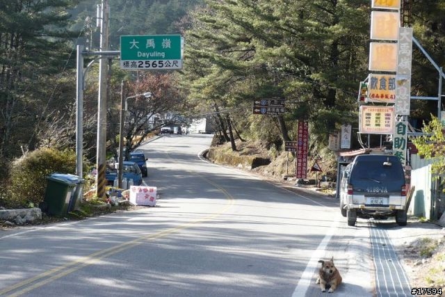 三台愛將環半島,直攻武嶺冷颼颼【美景美食全記錄!】