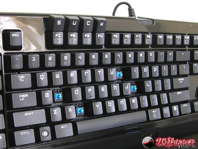 CHERRY G80-3000 VS Razer BlackWidow 青軸比較