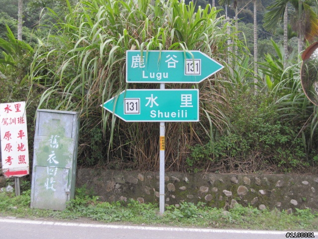 踏雪尋梅