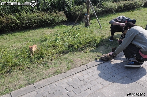 四個臭男人與CAMRY的侯硐九份一日之旅