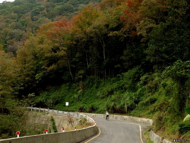 20101211-武道能敢-賞楓