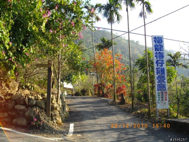 VJR100單騎台南楠西梅嶺懶人賞梅
