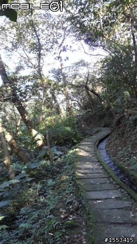 北海岸青山瀑布半日遊~