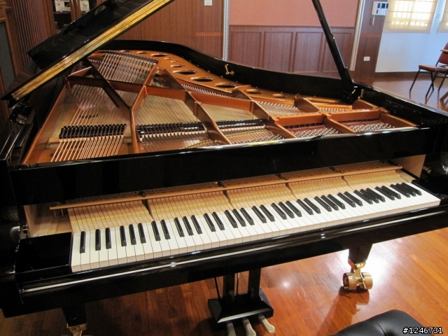Bosendorfer 280(貝森朵夫) in 涴沙