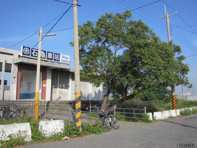 踏雪尋梅