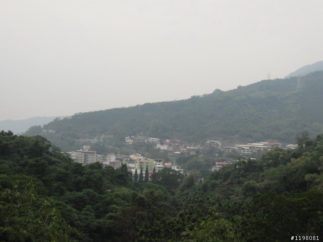 踏雪尋梅
