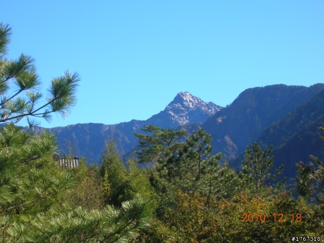 踏雪尋梅~之東埔泡湯行(12/19新增烏松崙梅景!)