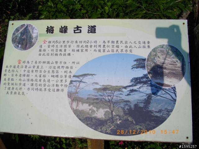 VJR100單騎台南楠西梅嶺懶人賞梅