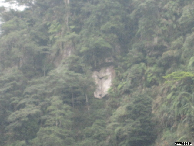 踏雪尋梅