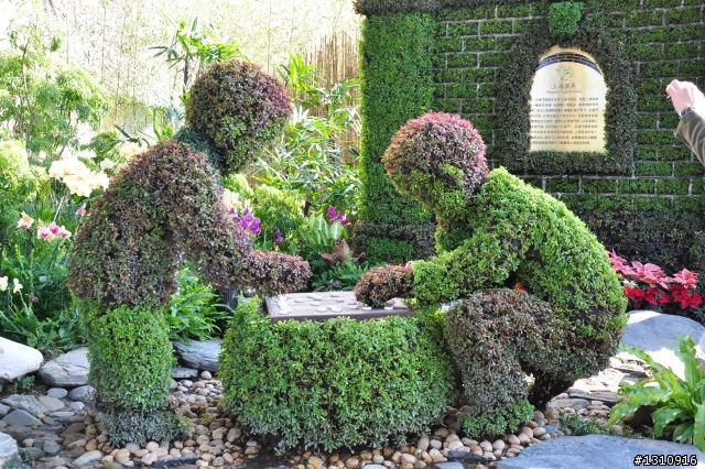 2010臺北國際花卉博覽會 D90超新手..圖多請慢慢看.花博蓋樓囉