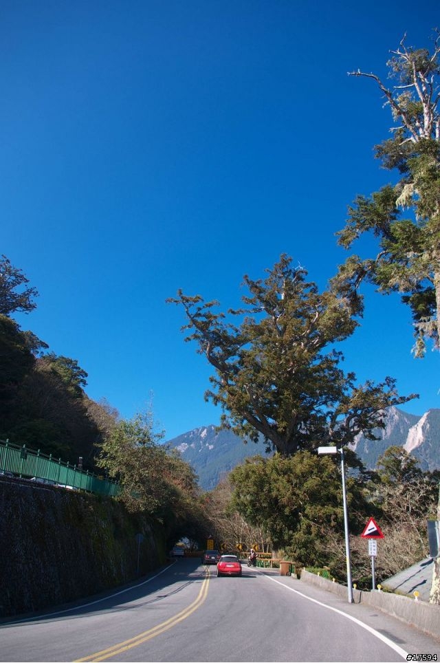 三台愛將環半島,直攻武嶺冷颼颼【美景美食全記錄!】
