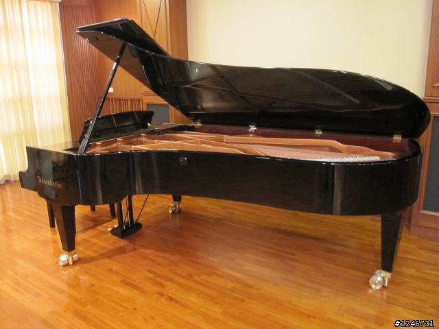 Bosendorfer 280(貝森朵夫) in 涴沙