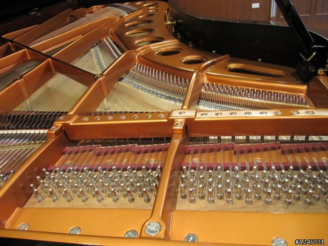 Bosendorfer 280(貝森朵夫) in 涴沙