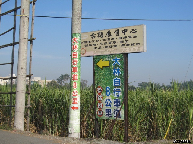踏雪尋梅