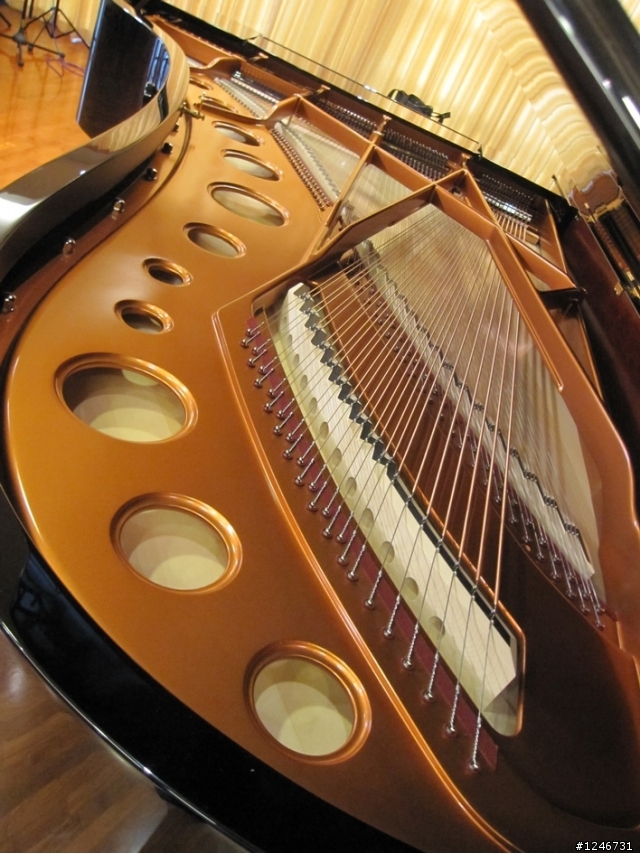 Bosendorfer 280(貝森朵夫) in 涴沙