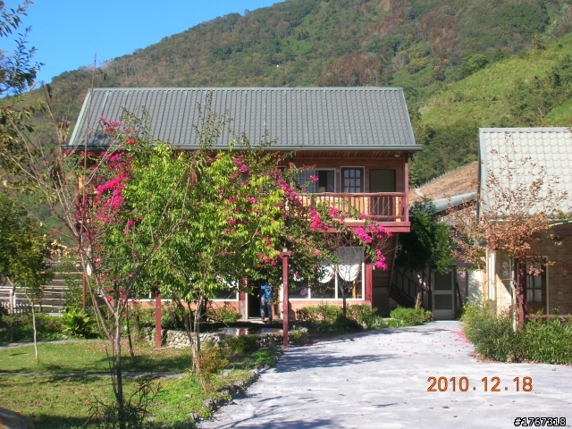 踏雪尋梅~之東埔泡湯行(12/19新增烏松崙梅景!)