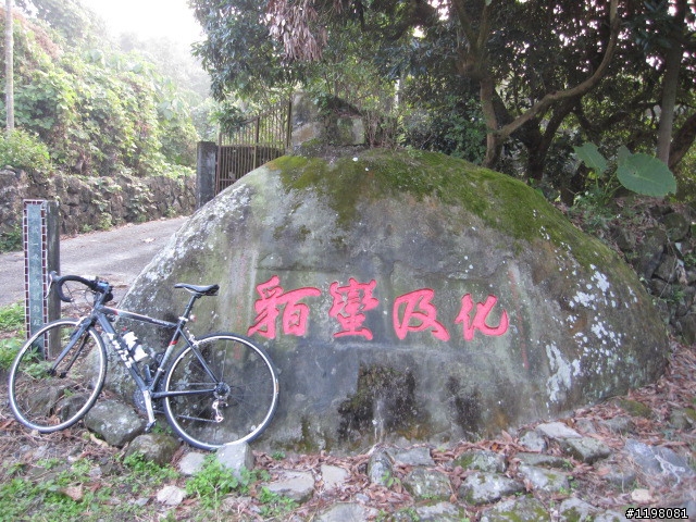 踏雪尋梅