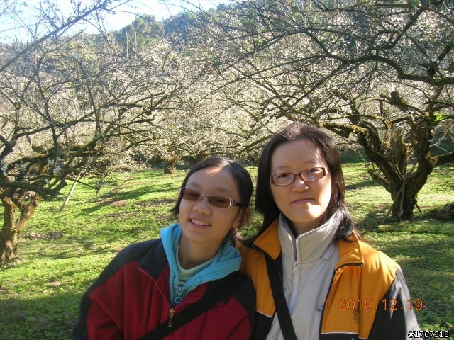 踏雪尋梅~之東埔泡湯行(12/19新增烏松崙梅景!)