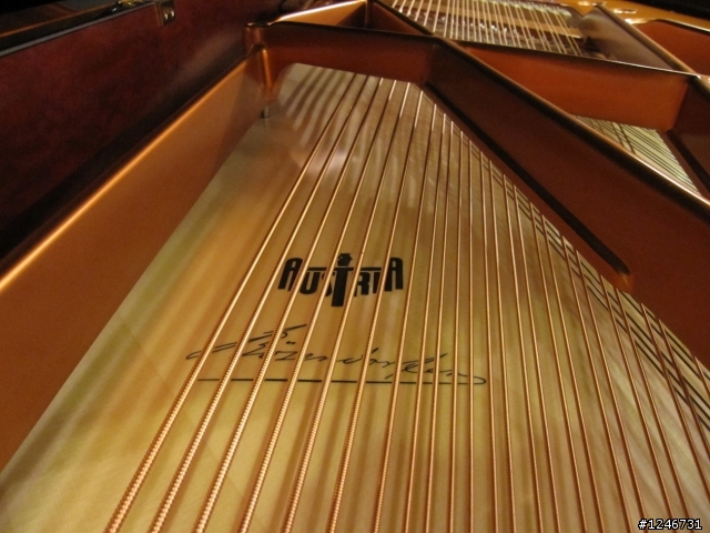 Bosendorfer 280(貝森朵夫) in 涴沙