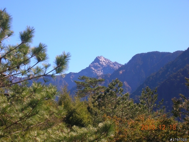 踏雪尋梅~之東埔泡湯行(12/19新增烏松崙梅景!)