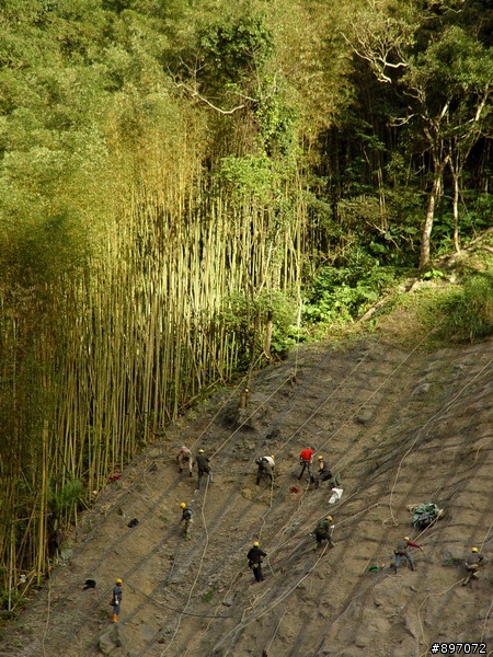 20101211-武道能敢-賞楓