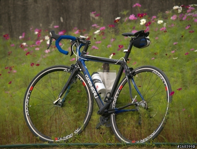 GARNEAU SONIX CUP