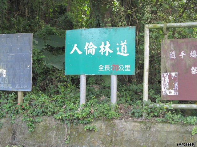 踏雪尋梅