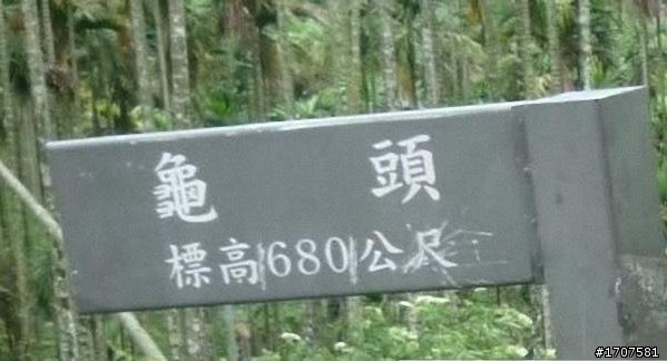 你知道 龜頭 在哪裡嗎? (貼圖說明)