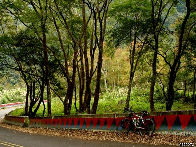20101211-武道能敢-賞楓