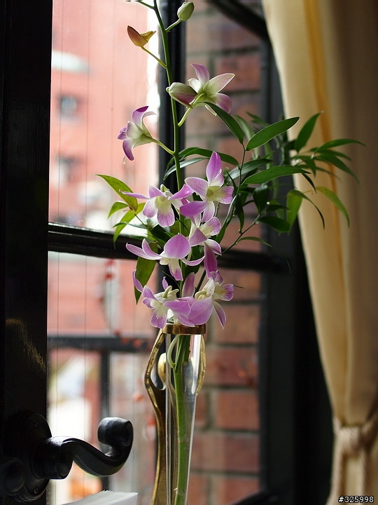 Voigtlander Nokton 25mm F0.95