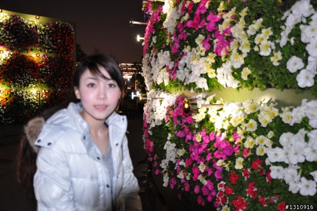 2010臺北國際花卉博覽會 D90超新手..圖多請慢慢看.花博蓋樓囉