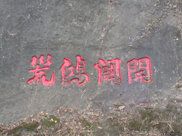 踏雪尋梅