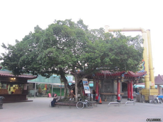 踏雪尋梅