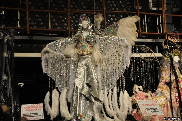 2010臺北國際花卉博覽會 D90超新手..圖多請慢慢看.花博蓋樓囉