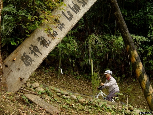 20101211-武道能敢-賞楓