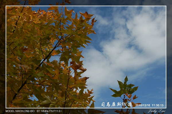 造訪上帝的部落—司馬庫斯 20101210+補高度路線圖