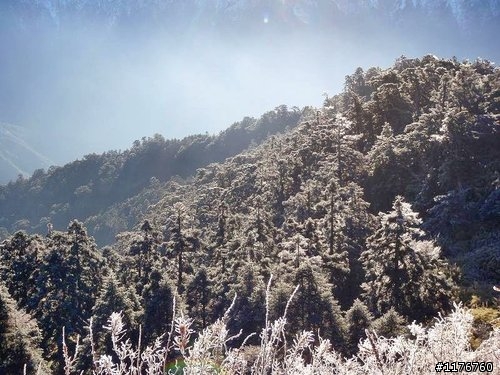 載著 HONDA MOTOCOMPO モトコンポ 合歡山賞雪之旅 !