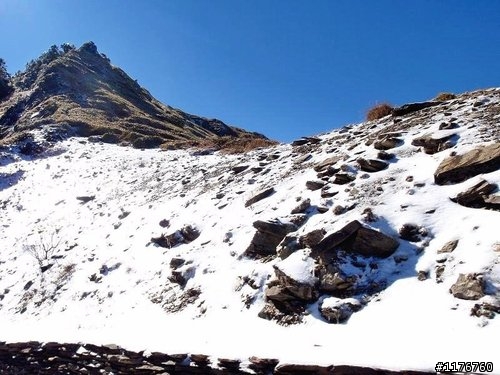 載著 HONDA MOTOCOMPO モトコンポ 合歡山賞雪之旅 !