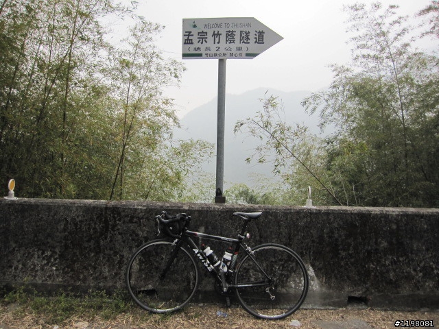 踏雪尋梅