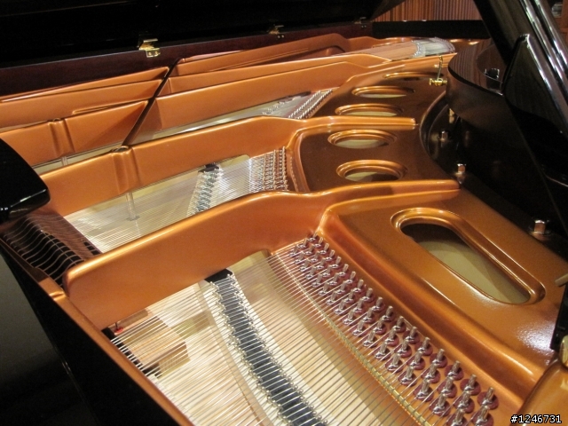 Bosendorfer 280(貝森朵夫) in 涴沙