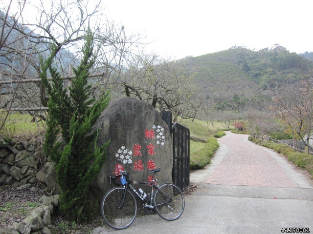 踏雪尋梅