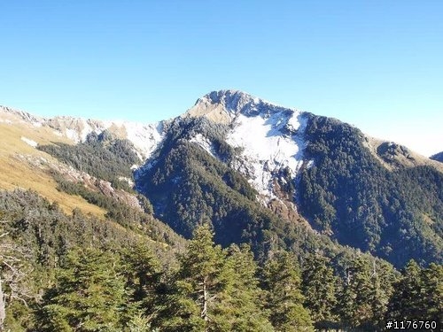 載著 HONDA MOTOCOMPO モトコンポ 合歡山賞雪之旅 !
