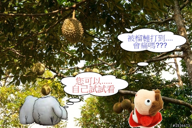 分享我的徵婚啟事