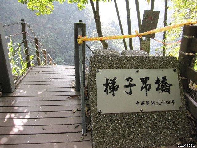 踏雪尋梅